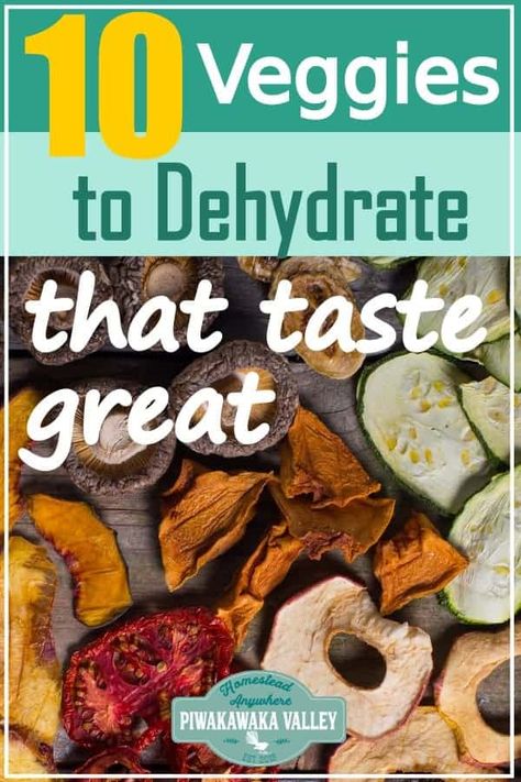 Let's face it some dehydrated vegetables and fruit are simply gross. Here are 10 vegetables that you can dehydrate and how to use them that actually taste nice. Perfect for storing the harvest or for keeping your produce that you grew in your garden at home! #foodpreservation #piwakawakavalley Dehydrator Recipes Vegetables, Dehydrate Vegetables, Dehydration Recipes, Dehydrating Vegetables, Vegetarian Camping Recipes, Dehydrating Recipes, Vegetarian Camping, Diy Condiments, Dehydrating Food Storage