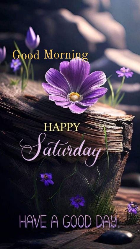 Saturday Weekend Wishes, Daily Sayings, Saturday Christmas, Good Morning Saturday Images, Happy Saturday Images, Saturday Images, Lilies Flowers, Week Quotes, Good Morning Happy Saturday