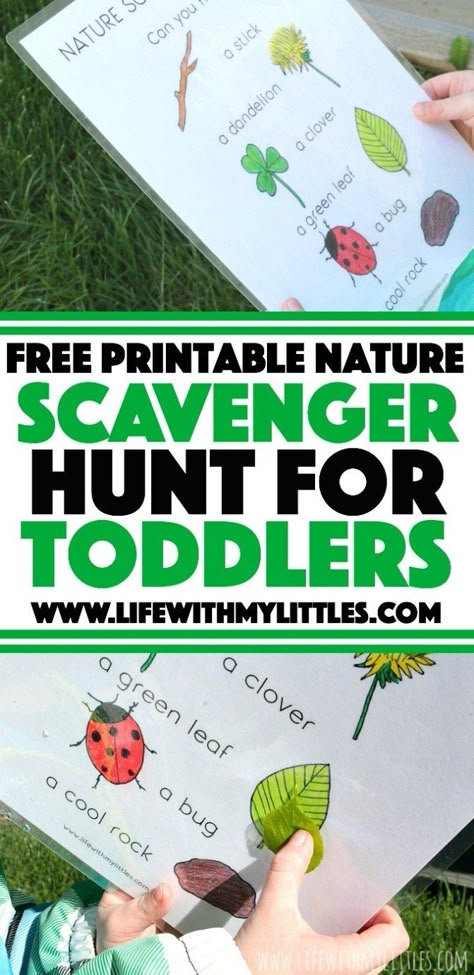 Scavenger Hunt For Toddlers, Toddler Scavenger Hunt, Curriculum Themes, Spring Favorites, Nature Lessons, Nature Scavenger Hunt, Outdoor Activities For Toddlers, Nature Hunt, Toddler Outdoor