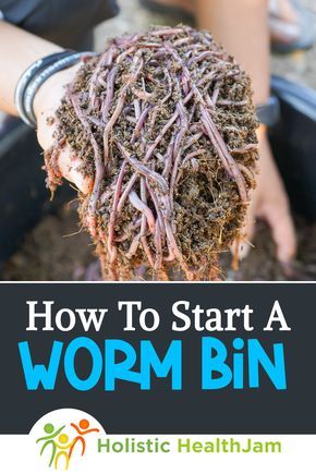 Vermicomposting Worm Farm, Worm Farm Diy, Worm Beds, Worm Composting Bin, Meal Worms, Worm Bin, Tattoo Plant, Red Worms, Kitchen Scraps