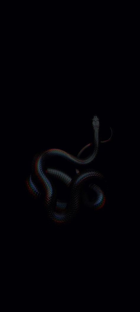 Snek Tattoo, Drawings Of Creatures, Notion Widget, Mamba Snake, Snake Wallpaper, Hacker Wallpaper, Super Powers Art, Goth Wallpaper, Bike Photography