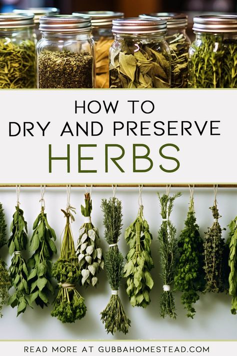 How To Dry Herbs And Flowers, How To Dry Herbs From Your Garden, How To Make Dried Herbs, Drying Your Own Herbs, Hang Dry Herbs In Kitchen, Dry Your Own Herbs, Home Grown Herbs, Planting Herbs From Seeds, Fresh Herbs To Dry Herbs Conversion