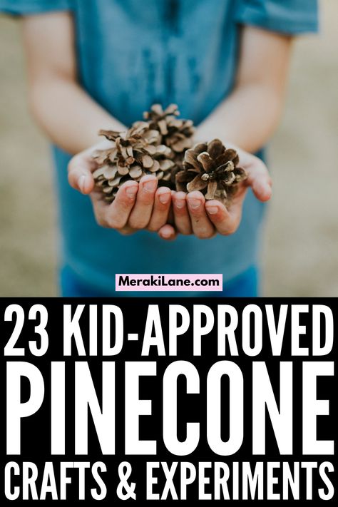 Pine Cone Art Projects, Pinecone Art Projects, Halloween Pinecones, Pinecone Crafts For Preschoolers, Fall Pinecone Crafts For Kids, Pinecone Kids Crafts, Halloween Crafts With Pinecones, Pinecone Stem Activity, Pinecone Hedgehog Craft