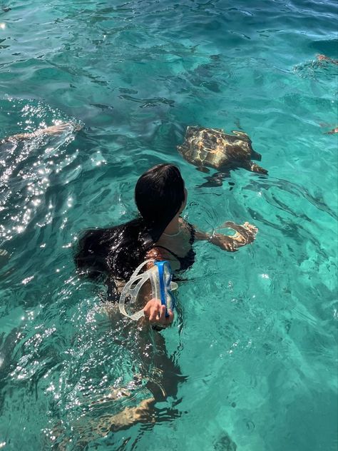 Swim With Turtles Hawaii, Snorkeling With Sea Turtles, Swimming With Turtles Aesthetic, Sea Turtles Aesthetic, Thailand Snorkeling, Swimming With Turtles, Swim With Turtles, Turtle Snorkeling, Swimming Turtle