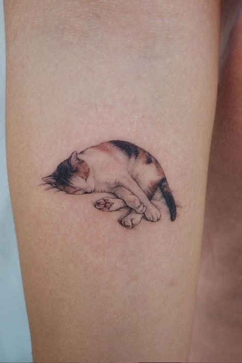 Detailed Cat Tattoo, Calico Cat Tattoo Ideas, Tattoo Of Cat, Calico Tattoo, Tattoos For Cats, Pet Name Tattoo, Pet Cat Tattoo, Calico Cat Tattoo, Arm Tattoo For Women