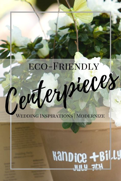 Eco-Friendly Wedding Centerpiece Inspirations - Green-Eyed Girl Productions Sustainable Centerpieces, Cheap Centerpieces, Wedding Freebies, Wedding Centerpiece Ideas, Very Small Wedding, Wedding Motifs, Girl With Green Eyes, Mini Wine Bottles, Sustainable Christmas