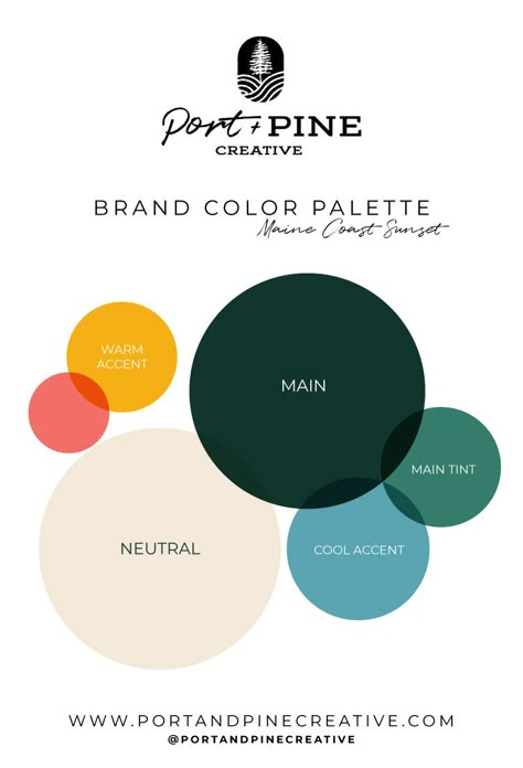 Sincere Color Palette, Bold Home Color Palette, Colorful Branding Palette, Art Website Color Palette, Beach Brand Color Palette, Stylish Color Palette, Navy Sage Color Palette, Design Studio Color Palette, Branding Color Combinations