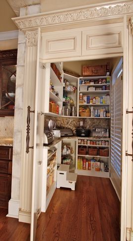 YES!!!!! counter inside pantry to store appliances... i think this is my favorite idea ever... i do not like things on my counter Store Appliances, Pantry Furniture, Style At Home, Walk In Pantry, Kitchen Pantry, Home Fashion, 인테리어 디자인, Dream Kitchen, My Dream Home