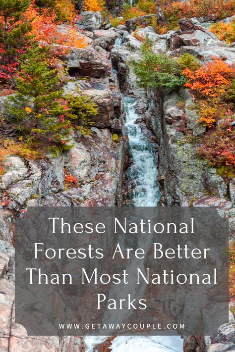 Looking for a hidden gem full of beauty, nature, and adventure? Check out these National Forests that are better than most National Parks! These National Forests Are Better Than Most National Parks Northern Cascades National Park, Snake River Canyon, Gifford Pinchot National Forest, Horseback Riding Trails, White Mountain National Forest, Cascade National Park, Pisgah National Forest, Camping Locations, Summer 2025