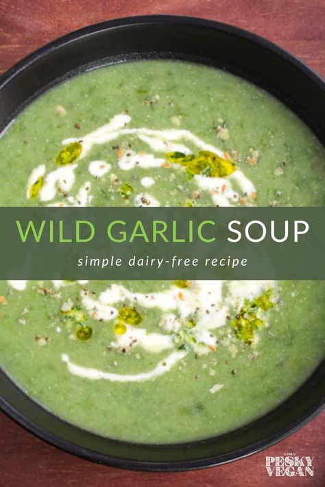 This simple wild garlic soup combines foraged leaves with potatoes and a few other ingredients for a light meal that's dairy-free. #vegan #vegansoup #wildgarlicrecipe #foragingrecipe #wildgarlic #thepeskyvegan Wild Garlic Recipe, Garlic Soup Recipe, Vegan Winter Recipes, Wild Garlic Pesto, Garlic Pesto, Garlic Recipe, Foraging Recipes, Garlic Soup, Garlic Potatoes