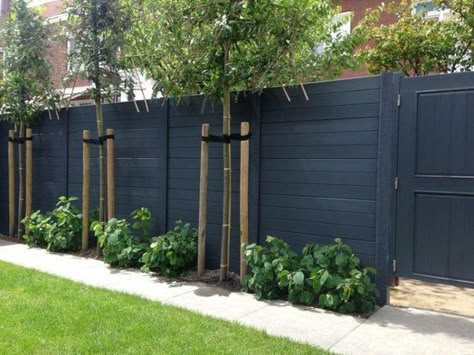 matte black fence wall Cheap Privacy Fence, Moderne Have, Black Fence, Privacy Fence Designs, Cheap Backyard, Backyard Privacy, Plants Growing, Front Yard Fence, Fence Landscaping