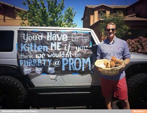 A cat holding a human would be more sufficient Cute Promposals, Funny Prom, Prom Posters, Cute Prom Proposals, Dance Proposal, Prom Couples, Prom 2016, Couple Stuff, Hoco Proposals