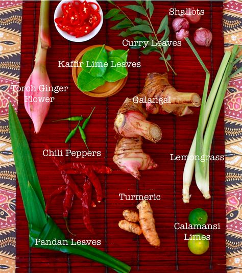 A. Articles Spices in Filipino Cuisines No secret that Filipino cuisine is one of the best in the world, but like any good food, it has to have its secrets. Few people have really mastered authenti… Torch Ginger Flower, Asian Spices, Ginger Flower, Asian Vegetables, Easy Asian Recipes, Spice Shop, Spices And Herbs, Spice Recipes, Chili Peppers