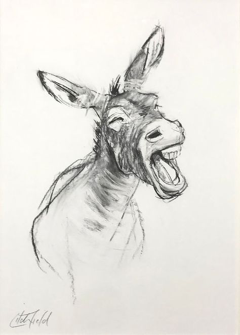 Drawings Of Donkeys, Cartoon Donkey Drawing, Donkey Drawing Sketches, Mule Sketches, Cartoon Animals Drawing, Mule Drawing, Drawing Donkey, Donkey Sketch, Draw Donkey