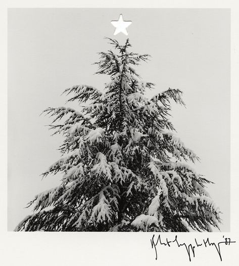 A Polaroid of a Christmas tree by Robert Mapplethorpe. Robert Mapplethorpe, Christmas Feeling, Snow Angels, Last Christmas, Snowy Day, Winter Wonder, Winter Aesthetic, Christmas Aesthetic, Baby Winter