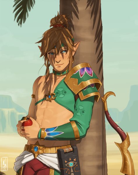 Merwild Desert Voe Armor Gerudo Link, Sorry For Him, Loved Drawing, Princesa Zelda, Legend Of Zelda Memes, Zelda Funny, Link Art, Link Zelda, Zelda Art