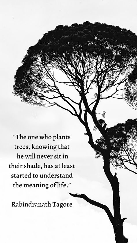 “The one who plants trees, knowing that he will never sit in their shade, has at least started to understand the meaning of life.” (Rabindranath Tagore) Set up your goals, invest, be patient, give yourself time. Some inspiration and wisdom for september. Talking To Plants Quotes, Quotes On Trees Life, Trees And Their Meanings, Planting Trees Quotes, Bonsai Quotes, Plant A Tree Quote, The Giving Tree Quotes, Goals Inspiration Quotes, Giving Tree Quotes