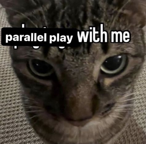 Parallel Play, Silly Core, I Love My Friends, Oui Oui, Silly Me, Silly Cats, Just Girly Things, Literally Me, Loving U