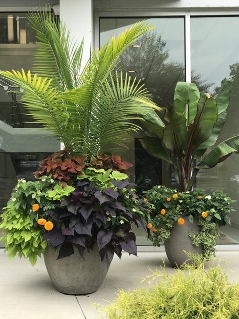 Summer Planters, Container Gardens & Window Boxes — Contained Creations Planter Patio Ideas, Low Maintenance Landscape Ideas Around Pool, Tropical Planters, Pool Planters, Plants Around Pool, Large Garden Pots, Pool Plants, Tropical Patio, Eagle Decor