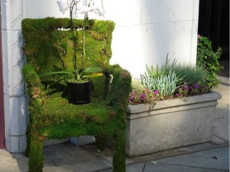 Being cool outside and inside. Moss Chair, Moss Paint, Growing Greens, Moss Garden, Moss Art, Garden Terrarium, Woodland Garden, Diy Chair, Green Art