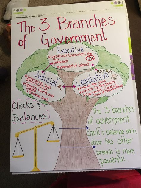 My first anchor chart for my 11th grade class. 3 Branches Of Government, Branches Of Government, Science Chart, Social Studies Education, Study Flashcards, Class 8, Class Decoration, All Poster, Social Science