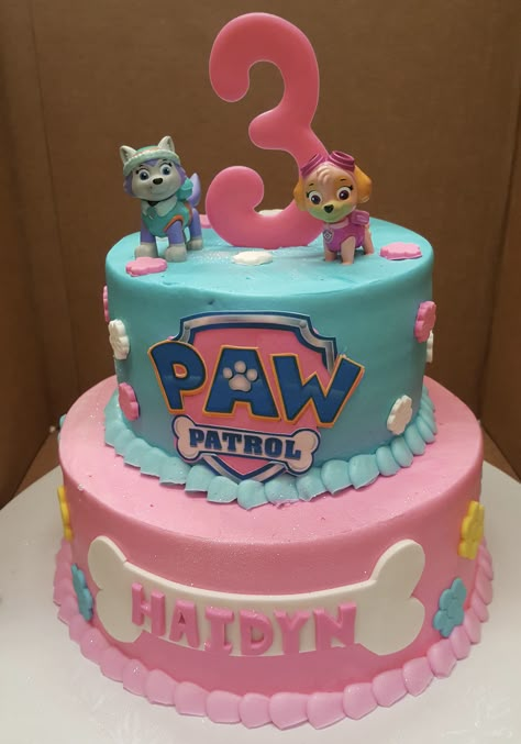 Calumet Bakery Girls Paw Patrol Cake Paw Patrol Cake Ideas, Paw Patrol Birthday Cake Girl, Paw Patrol Torte, Birthday Cakes Girls Kids, Paw Patrol Birthday Decorations, Bolo Panda, Paw Patrol Party Decorations, Girls First Birthday Cake, Paw Patrol Birthday Cake