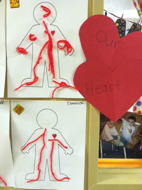 Healthy Bodies Activities Eyfs, Draw A Heart, Body Draw, Body Preschool, Human Body Activities, Kids Valentines Day, Healthy Bodies, Human Body Unit, Body Craft