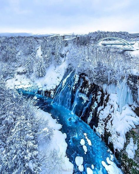 Bright Turquoise, White Beard, Visit Japan, Sapporo, Turquoise Water, Winter Landscape, Japan Travel, Hot Springs, Trip Planning