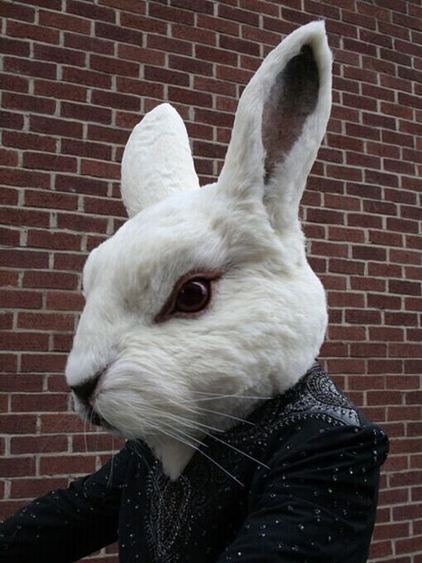 Rabbit Head Mask, Rabbit Fursuit, Mask Rabbit, Bunny Outfits, Rabbit Mask, Weird Photography, Bunny Mask, Rabbit Head, Bunny Head