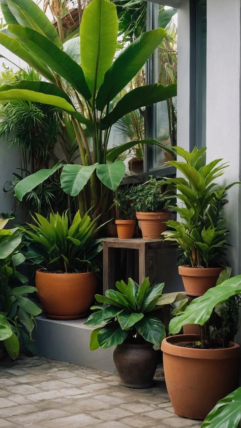 Discover inspiring small tropical garden ideas for your backyard landscaping From patio designs to beautiful Australian front yard beds get creative with unique UK and New Zealand planting ideas Whether you're looking for ideas for small tropical garden designs or ways to brighten up your full-sun backyard we've got you covered Explore design ideas that will transform your outdoor space into a lush oasis Front Yard Beds, Small Tropical Garden Ideas, Tropical Garden Ideas, Small Tropical Gardens, Tropical Garden Design, Planting Ideas, Cozy Patio, Stone Path, Patio Designs