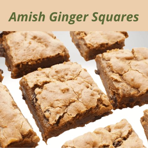 Ginger Squares, Amish Baking, Amish Noodles, Amish Cookies, Amish Bakery, Tomato Butter Sauce, Oatmeal Squares, Tomato Butter, Square Cookies