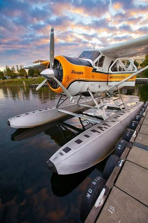 Hi. We’re Kenmore Air. We fly all over this magical patch of earth called the Puget Sound. Dehavilland Beaver, Sea Planes, Bush Pilot, Jet Privé, Amphibious Aircraft, Small Plane, Bush Plane, Sea Plane, Float Plane