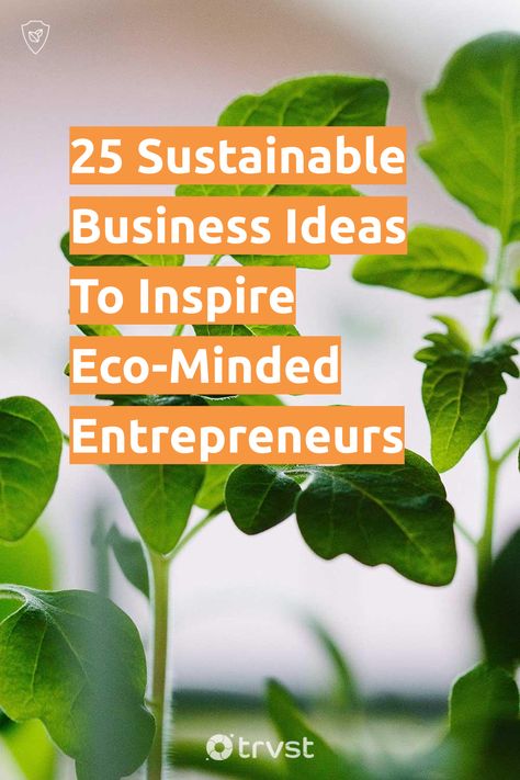 Sustainable Business Ideas, Sustainable Business Practices, Organic Business Ideas, Eco Business, Environmental Business Ideas, Regenerative Business, Environmental Projects Ideas, Business Trends 2023, Sustainable Living Ideas