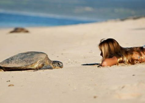 . Turtle Love, A Turtle, Foto Ideas Instagram, Summer Feeling, Summer Lovin, Summer Dream, Sea Turtles, Beach Babe, Beach Vibe