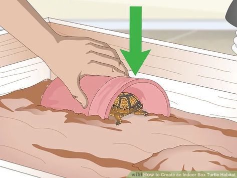 How to Create an Indoor Box Turtle Habitat (with Pictures) Pet Turtle Habitat, Tartaruga Habitat, Box Turtle Habitat, Turtle Enclosure, Box Turtles, Turtle Terrarium, Big Tortoise, Eastern Box Turtle, Outdoor Enclosure