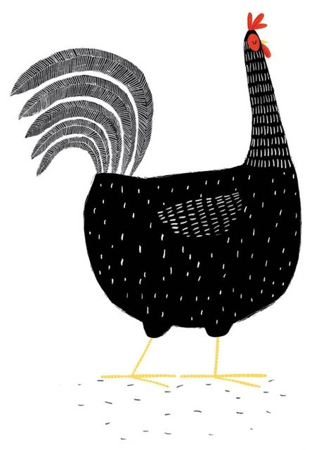 Black Hen by Jim Field Jim Field, Chicken Illustration, Black Rooster, Animals Illustration, Animal Illustrations, Chicken Art, Pola Sulam, White Chicken, Bird Illustration