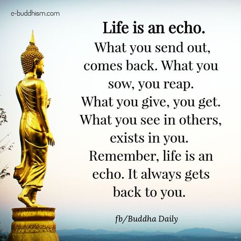 Life Is An Echo, Buddha Quotes Inspirational, Motivation Positive, Buddhism Quote, Buddhist Quotes, Buddha Quote, Buddha Quotes, Inspirational Thoughts, Quotable Quotes