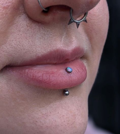 downsized & almost fully healed vertical labret for Nancy @keltherys with a lavender opal from @inariorganics_uk 🪻🌸 📍 @croidubhtattoo . . . . . #inariorganicsuk #legitbodyjewelry #bodyjewelery #safepiercing #lip #lippiercing #piercings #verticallabret #belfast #belfastpiercer #opal Dainty Vertical Labret, Vertical Labret Jewelry, Vertical Labret Piercing, Vertical Labret, Labret Jewelry, Lip Piercings, Lavender Opal, Labret Piercing, Lip Piercing