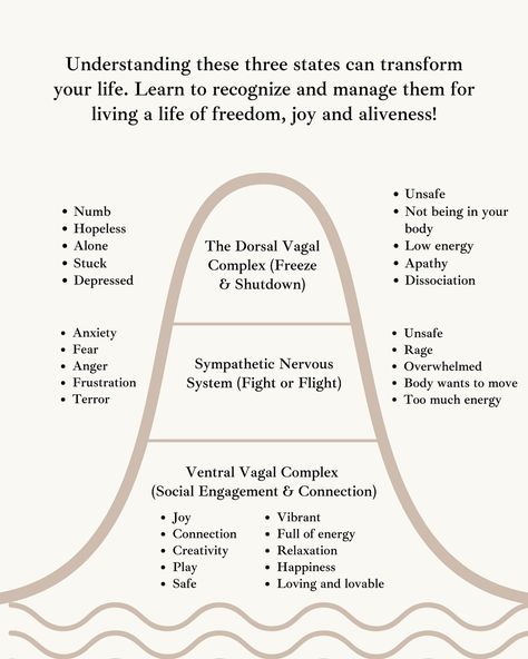 ✨Recognizing which state your nervous system is in can help you better understand your feelings and reactions. Each state serves a purpose and signals your body’s needs. ✅Our aim and purpose is to be able to navigate these states with flexibility according to what is needed of us in the moment. ✅A regulated nervous system doesn’t mean calm and peace all the time but what it means is it’s capacity to adapt to what external environment asks of us. 🔥For example, if there is a dangerous situati... Regulating The Nervous System, Parasympathetic Nervous System Reset, Regulated Nervous System, Calming The Nervous System, Healing The Nervous System, Healing Your Nervous System, Healing Nervous System, Heal Nervous System, Nervous System Healing