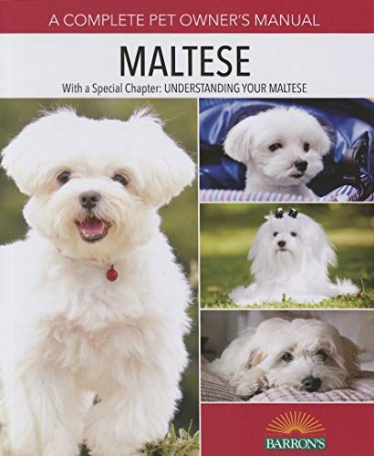 6 Maltese Haircuts How to Cut Maltese Hair with Scissors Tip Korean Cut, Maltese Dogs Haircuts, Maltese Haircut, Maltese Breed, Maltese Shih Tzu, Puppy Cut, Dog Haircuts, Havanese Puppies, Maltese Dog