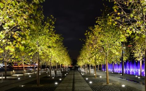 Krymskaya embankment, Moscow, WOWHAUS, Lighting design Anna Kharchenkova Public realm, Tree Uplights Public Lighting, Russia Landscape, Landscape Plaza, Lit Trees, Camden Park, Park Lighting, Lighting Design Inspiration, Landscape And Urbanism Architecture, Landscape Lighting Design