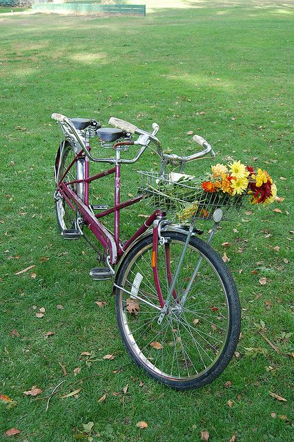 bicycle built for two by jamie h, via Flickr Tandem Bike, Vintage Bicycles, Sidecar, Tandem, Engagement Pictures, Bicycle, Bike, Building