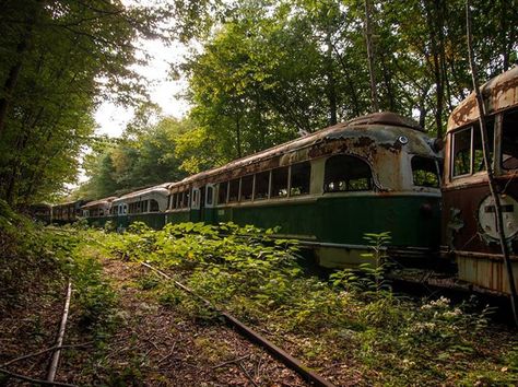 Rusting, abandoned trains in a forest. Tracks covered by vegetation. Green and red. Johnny Joo Zombie Apocalypse Aesthetic, Apocalypse Vibes, Zombie Au, Apocalypse Au, Abandoned Trains, Dystopian Aesthetic, Apocalyptic World, Apocalypse World, Post Apocalyptic Art