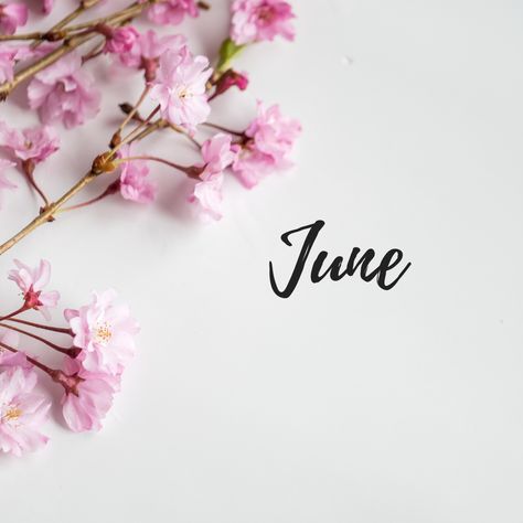 wallpaper for your #june instagram post June Birthday, Digital Wedding Invitations, Digital Weddings, Months In A Year, Wedding Invitations, Wallpapers, In This Moment, Instagram Post, Instagram Posts