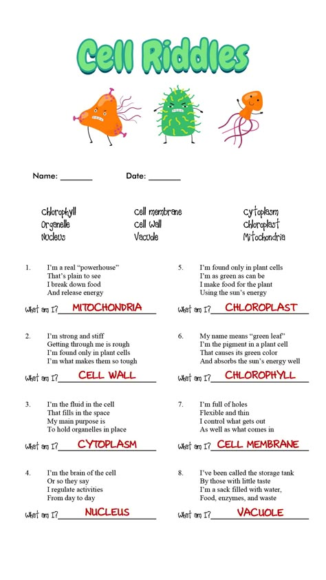 Prokaryotic and Eukaryotic Cells Worksheet Answers Teaching Cells Middle School, Cells Project Ideas, Cells Middle School Activities, Fun Biology Activities High Schools, Cell Labs For Middle School, Teaching High School Science, Biology Games High Schools, Biology Project Ideas High Schools, Cell Projects Middle School