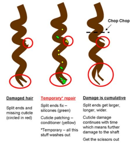 Split ends Natural Hair Care Tips, Types Of Hair, Heat Damage, Damaged Hair Repair, Natural Hair Tips, Natural Hair Journey, Relaxed Hair, Curly Hair Care, Natural Hair Growth