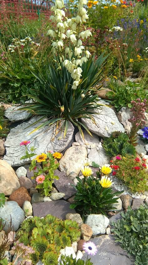 Garden Rockery Ideas Raised Beds, Alpine Rockery, Alpine Rock Garden, Boulder In Flower Bed, Rockery Plants Uk, Pebble Landscaping, Rockery Garden, Creative Garden Decor, Pebble Garden