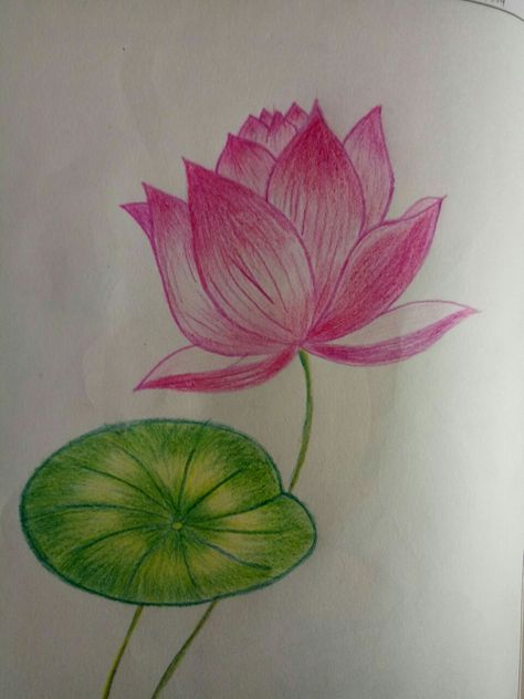 How To Draw Lotus Leaf, Blouse Painting, Colour Pencil Drawing, Oil Pastel Drawings Easy, Fabric Paint Diy, Pencil Work, Landscape Painting Tutorial, Flower Drawings, Colour Pencil