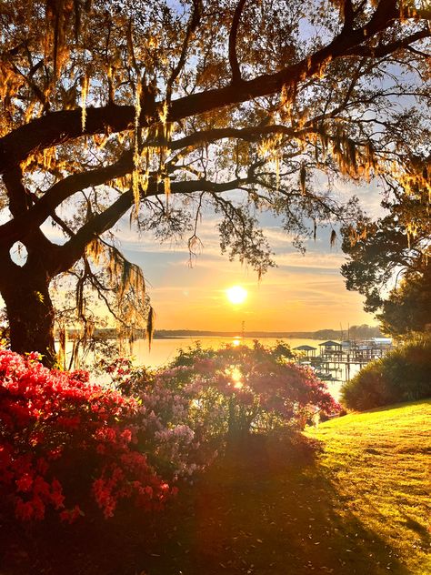 Sunset, Spanish moss, low country, historic Savannah, Bluffton South Carolina Lowcountry House, Low Country Homes, Bluffton South Carolina, Country Summer, Bluffton Sc, Coastal Carolina, Fall Country, Watercolor Ideas, Beautiful Picture