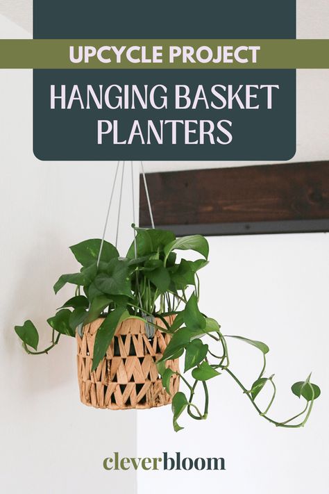 Upcycled Hanging Basket Planter - Clever Bloom Diy Hanging Baskets, Plant Inspiration, Old Baskets, Plant Crafts, Planter Basket, Plant Projects, Garden Indoor, Basket Planters, Plant Hangers